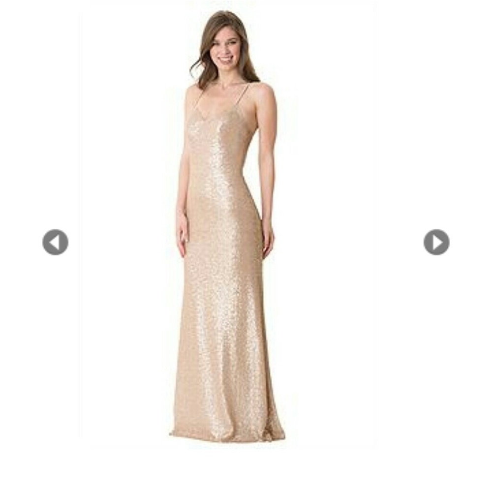 Bari jay sparkly nude dress